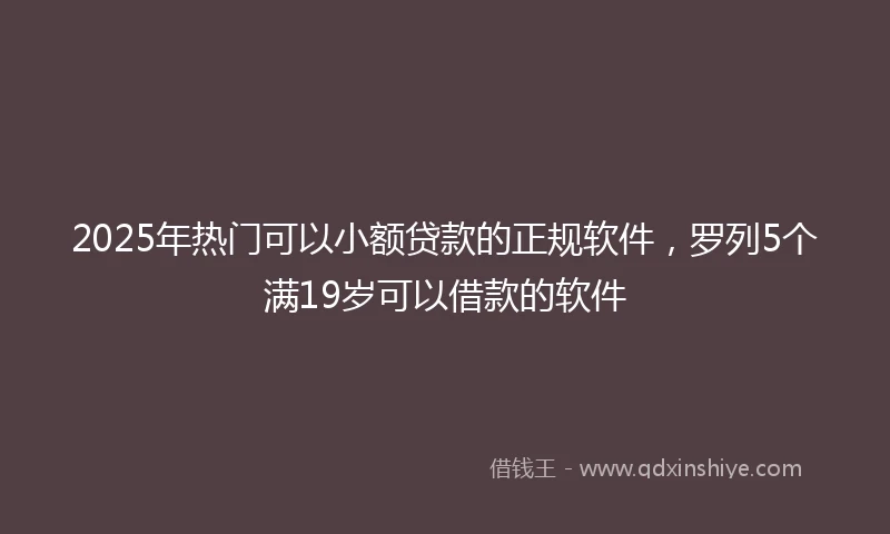 2025年热门可以小额贷款的正规软件，罗列5个满19岁可以借款的软件