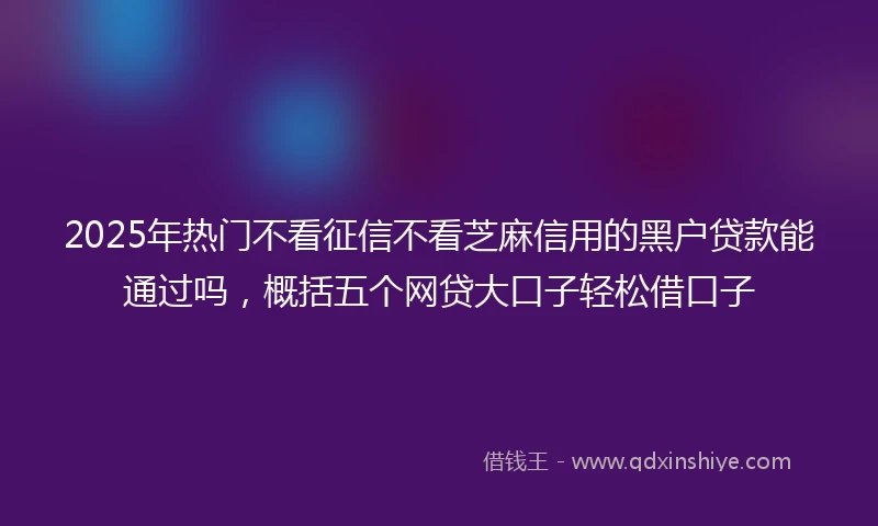 2025年热门不看征信不看芝麻信用的黑户贷款能通过吗，概括五个网贷大口子轻松借口子