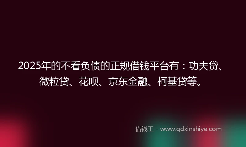 2025年的不看负债的正规借钱平台有：功夫贷、微粒贷、花呗、京东金融、柯基贷等。