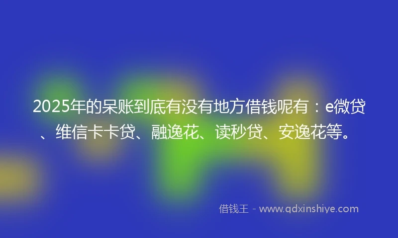 2025年的呆账到底有没有地方借钱呢有：e微贷、维信卡卡贷、融逸花、读秒贷、安逸花等。