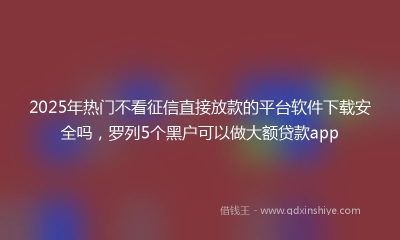 2025年热门不看征信直接放款的平台软件下载安全吗，罗列5个黑户可以做大额贷款app