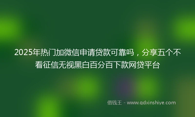 2025年热门加微信申请贷款可靠吗，分享五个不看征信无视黑白百分百下款网贷平台
