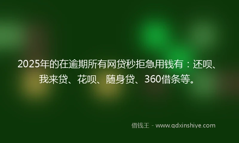 2025年的在逾期所有网贷秒拒急用钱有：还呗、我来贷、花呗、随身贷、360借条等。