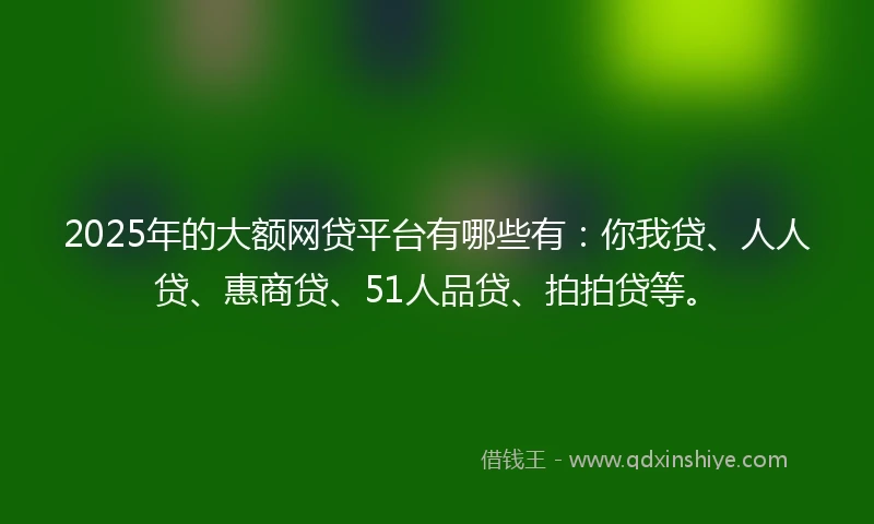 2025年的大额网贷平台有哪些有：你我贷、人人贷、惠商贷、51人品贷、拍拍贷等。