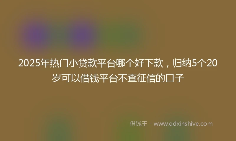 2025年热门小贷款平台哪个好下款，归纳5个20岁可以借钱平台不查征信的口子
