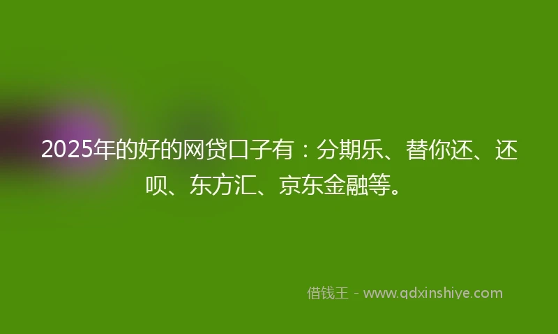 2025年的好的网贷口子有：分期乐、替你还、还呗、东方汇、京东金融等。