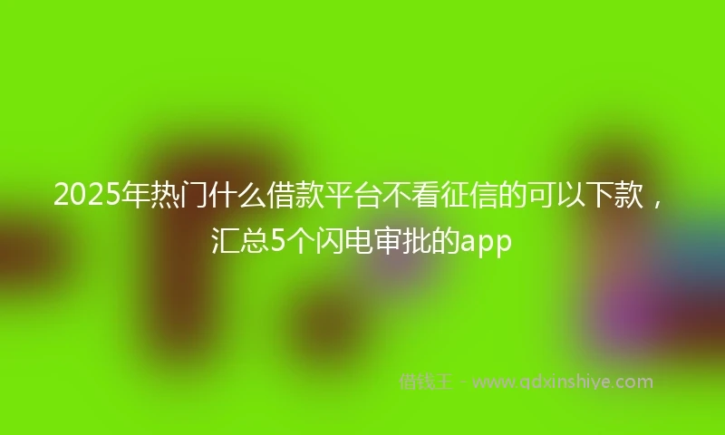 2025年热门什么借款平台不看征信的可以下款，汇总5个闪电审批的app
