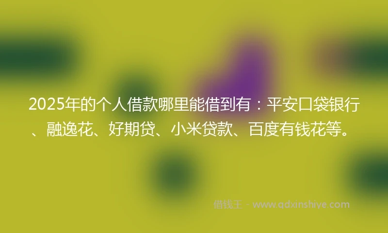 2025年的个人借款哪里能借到有：平安口袋银行、融逸花、好期贷、小米贷款、百度有钱花等。