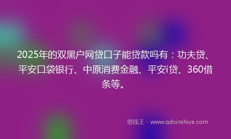 2025年的双黑户网贷口子能贷款吗有：功夫贷、平安口袋银行、中原消费金融、平安i贷、360借条等。