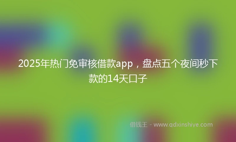 2025年热门免审核借款app，盘点五个夜间秒下款的14天口子