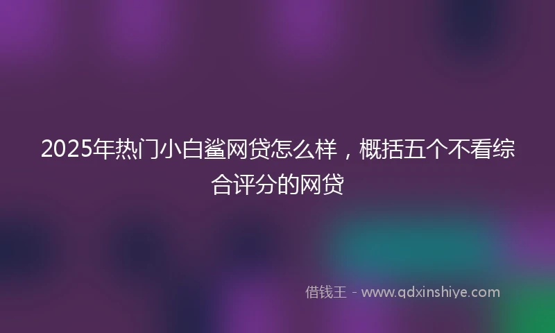 2025年热门小白鲨网贷怎么样，概括五个不看综合评分的网贷