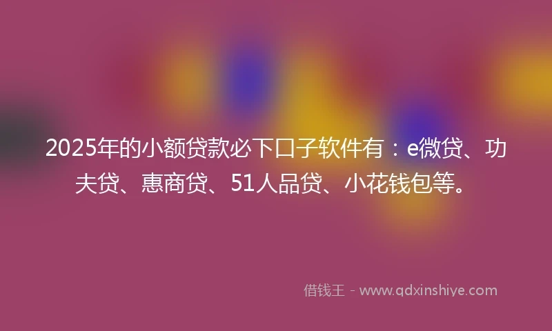 2025年的小额贷款必下口子软件有：e微贷、功夫贷、惠商贷、51人品贷、小花钱包等。