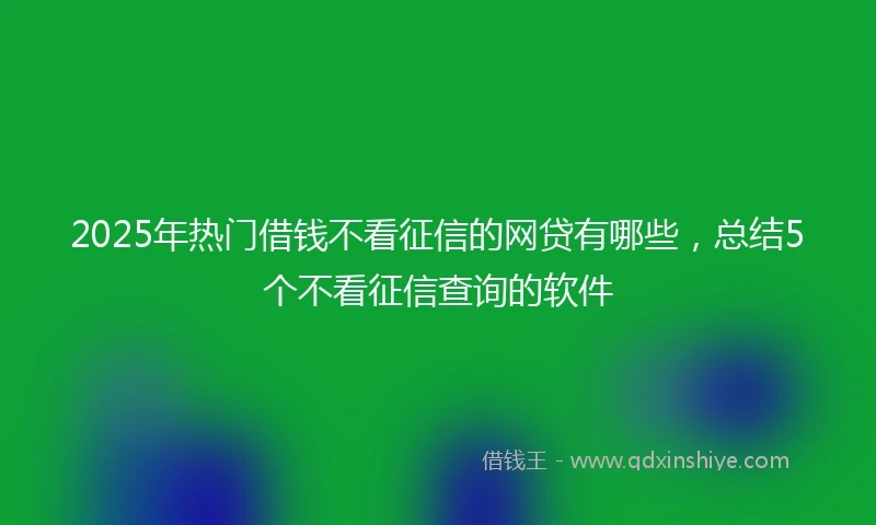 2025年热门借钱不看征信的网贷有哪些，总结5个不看征信查询的软件