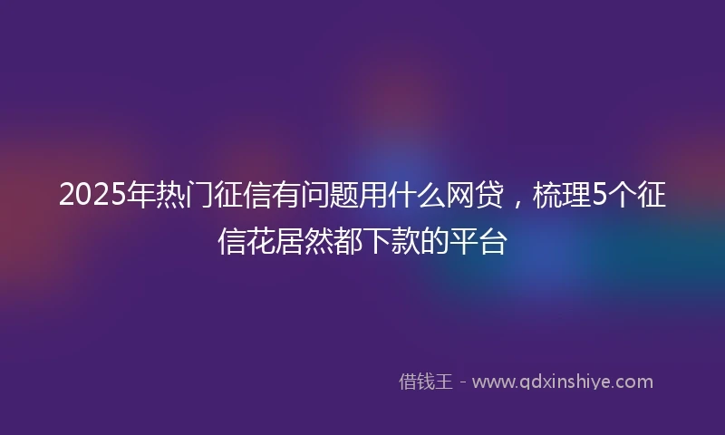 2025年热门征信有问题用什么网贷，梳理5个征信花居然都下款的平台