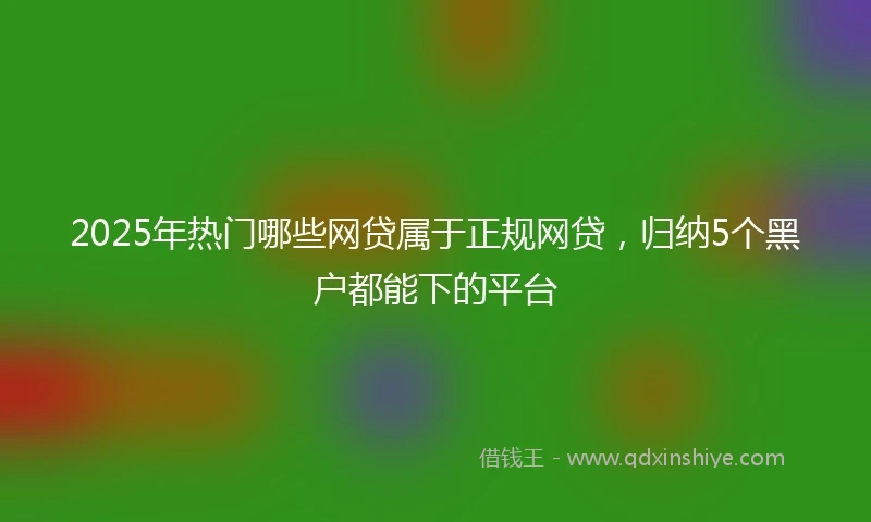 2025年热门哪些网贷属于正规网贷，归纳5个黑户都能下的平台