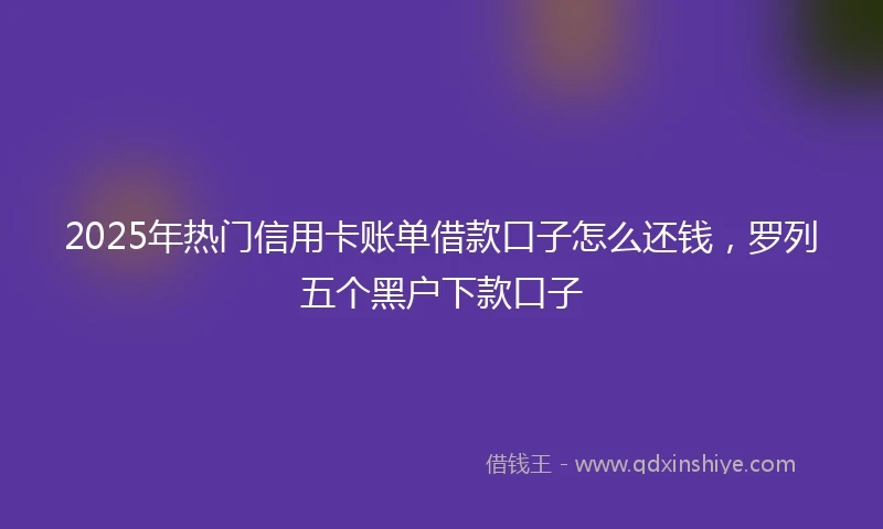 2025年热门信用卡账单借款口子怎么还钱，罗列五个黑户下款口子