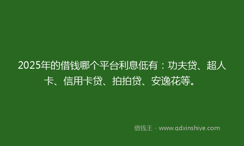 2025年的借钱哪个平台利息低有：功夫贷、超人卡、信用卡贷、拍拍贷、安逸花等。