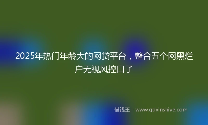 2025年热门年龄大的网贷平台，整合五个网黑烂户无视风控口子