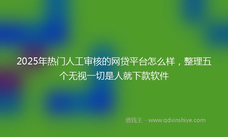 2025年热门人工审核的网贷平台怎么样，整理五个无视一切是人就下款软件