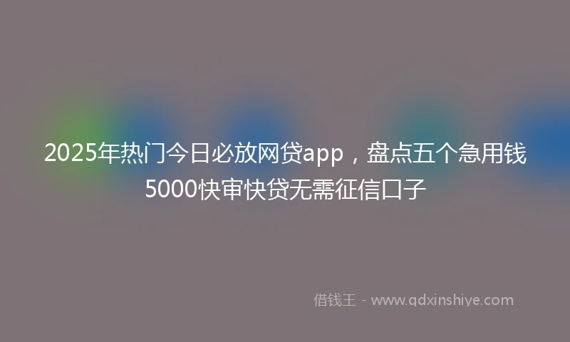2025年热门今日必放网贷app，盘点五个急用钱5000快审快贷无需征信口子