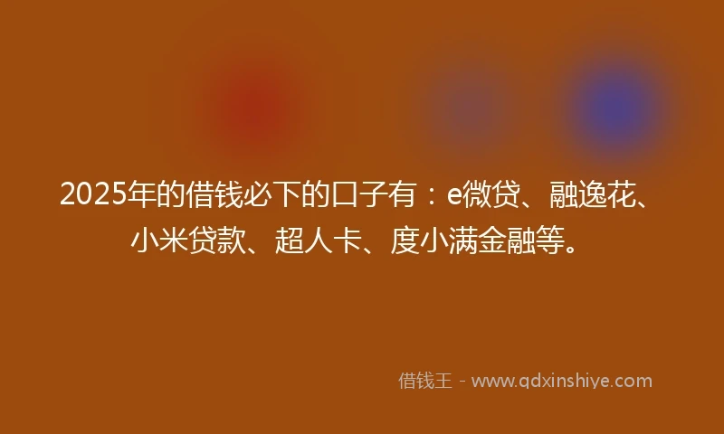 2025年的借钱必下的口子有：e微贷、融逸花、小米贷款、超人卡、度小满金融等。