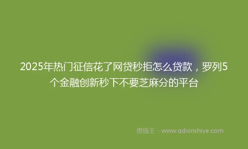 2025年热门征信花了网贷秒拒怎么贷款，罗列5个金融创新秒下不要芝麻分的平台