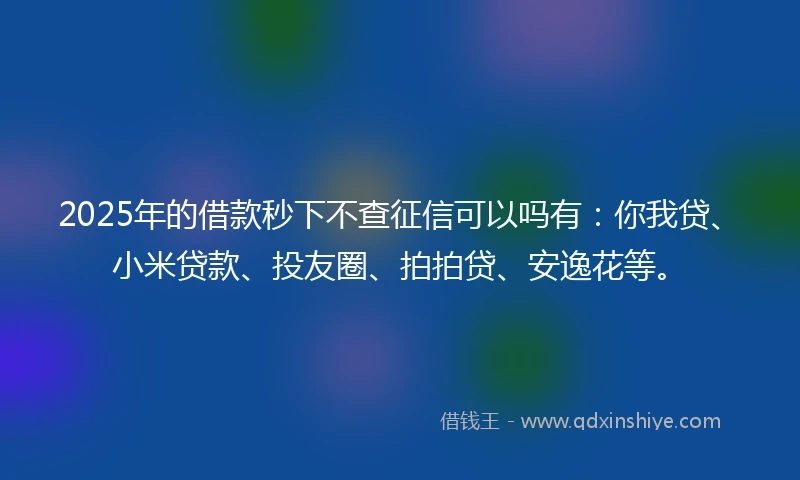 2025年的借款秒下不查征信可以吗有：你我贷、小米贷款、投友圈、拍拍贷、安逸花等。