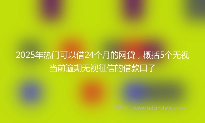 2025年热门可以借24个月的网贷，概括5个无视当前逾期无视征信的借款口子