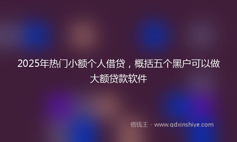 2025年热门小额个人借贷，概括五个黑户可以做大额贷款软件