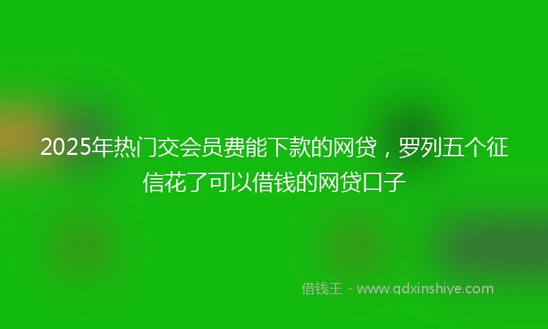 2025年热门交会员费能下款的网贷，罗列五个征信花了可以借钱的网贷口子