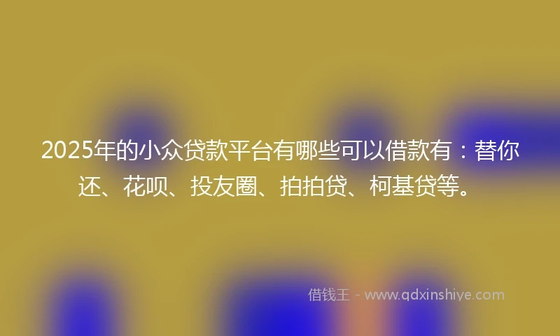 2025年的小众贷款平台有哪些可以借款有：替你还、花呗、投友圈、拍拍贷、柯基贷等。