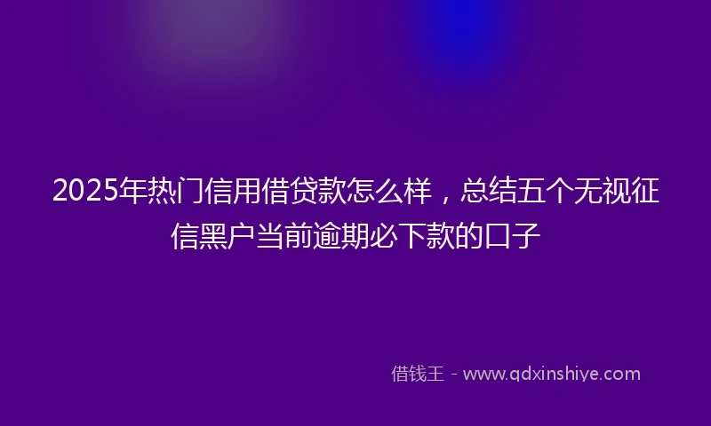 2025年热门信用借贷款怎么样，总结五个无视征信黑户当前逾期必下款的口子
