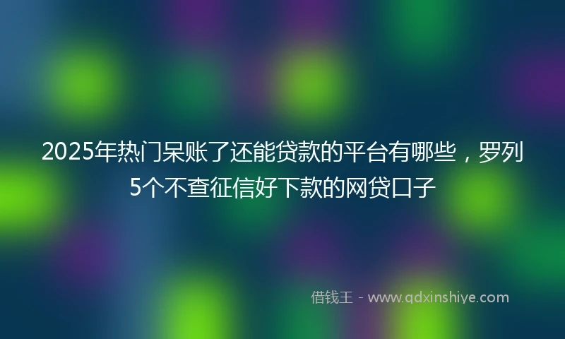 2025年热门呆账了还能贷款的平台有哪些，罗列5个不查征信好下款的网贷口子