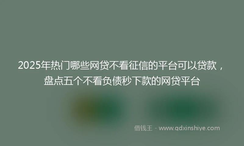 2025年热门哪些网贷不看征信的平台可以贷款，盘点五个不看负债秒下款的网贷平台