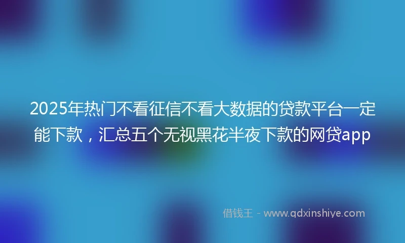 2025年热门不看征信不看大数据的贷款平台一定能下款，汇总五个无视黑花半夜下款的网贷app