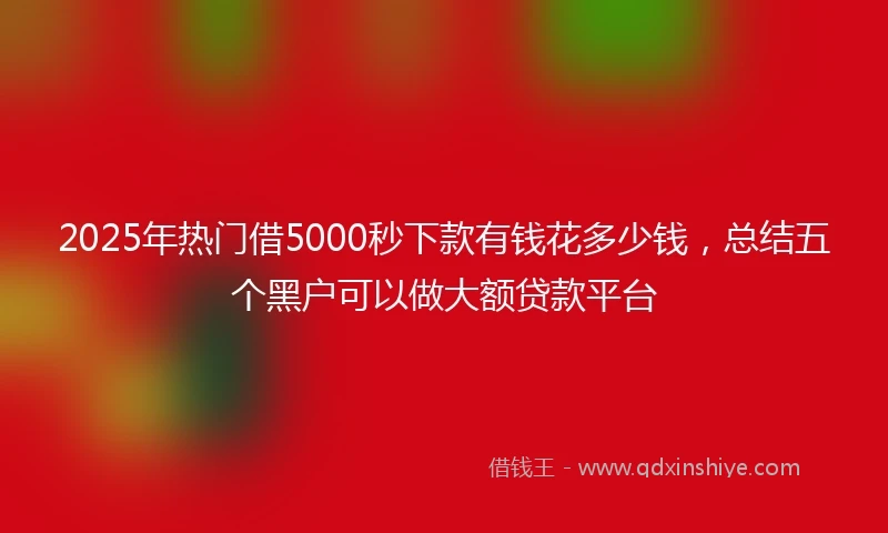 2025年热门借5000秒下款有钱花多少钱，总结五个黑户可以做大额贷款平台