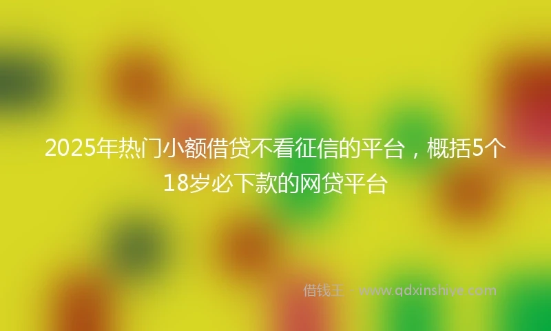 2025年热门小额借贷不看征信的平台，概括5个18岁必下款的网贷平台