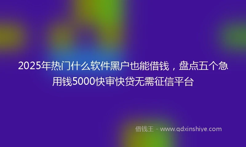 2025年热门什么软件黑户也能借钱，盘点五个急用钱5000快审快贷无需征信平台
