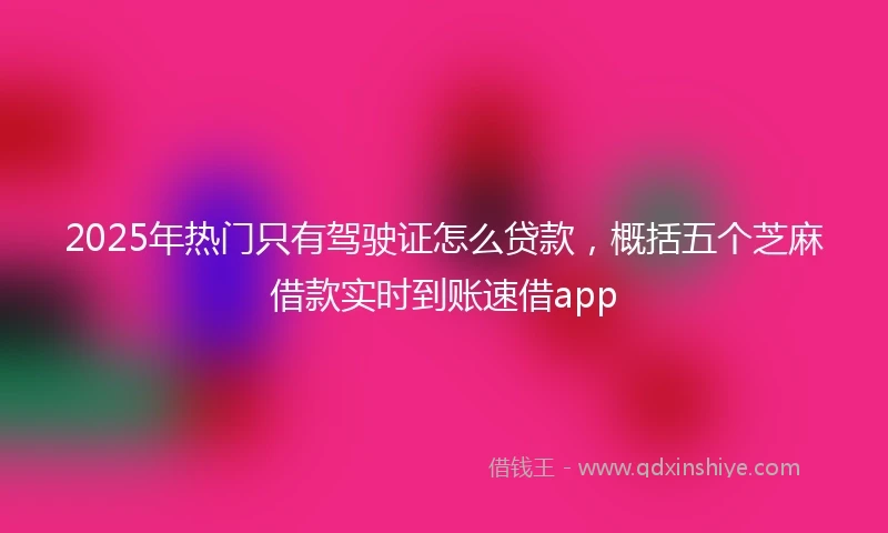 2025年热门只有驾驶证怎么贷款，概括五个芝麻借款实时到账速借app
