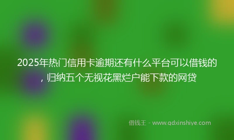 2025年热门信用卡逾期还有什么平台可以借钱的，归纳五个无视花黑烂户能下款的网贷