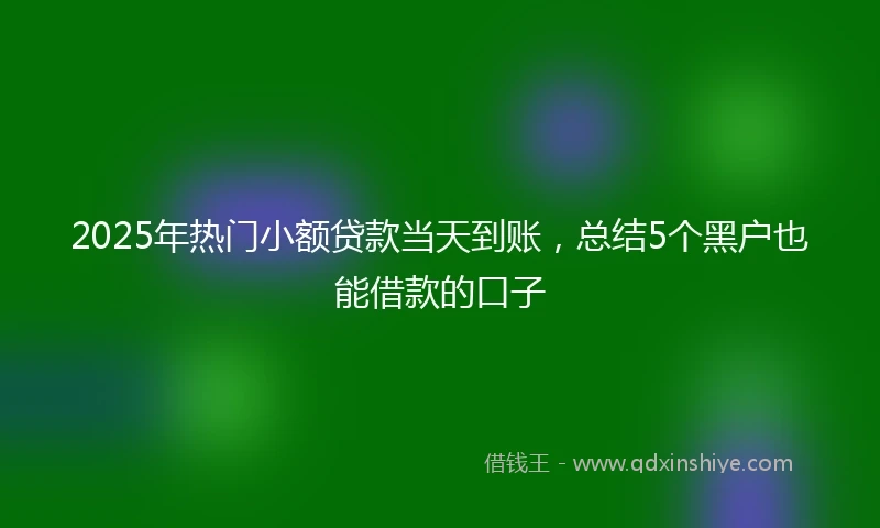 2025年热门小额贷款当天到账，总结5个黑户也能借款的口子
