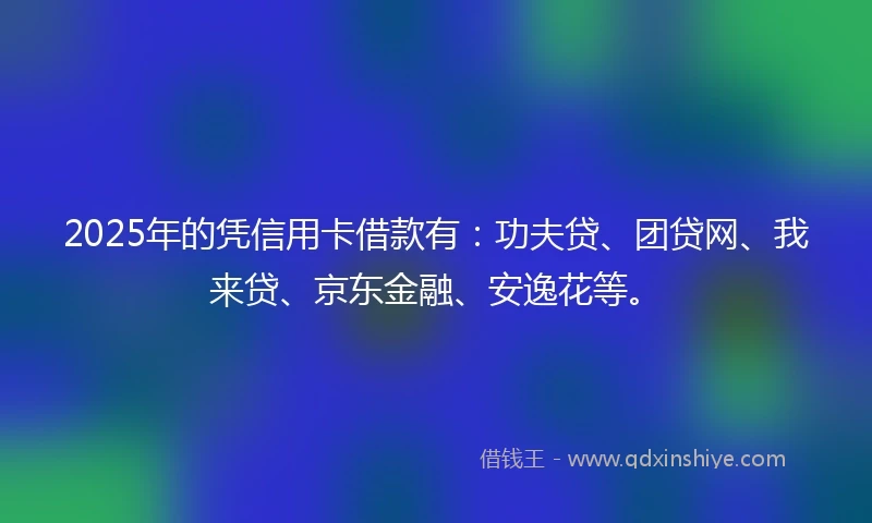 2025年的凭信用卡借款有：功夫贷、团贷网、我来贷、京东金融、安逸花等。
