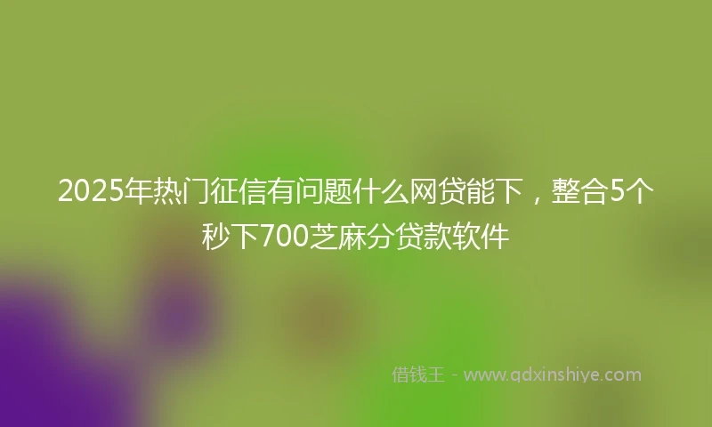 2025年热门征信有问题什么网贷能下，整合5个秒下700芝麻分贷款软件