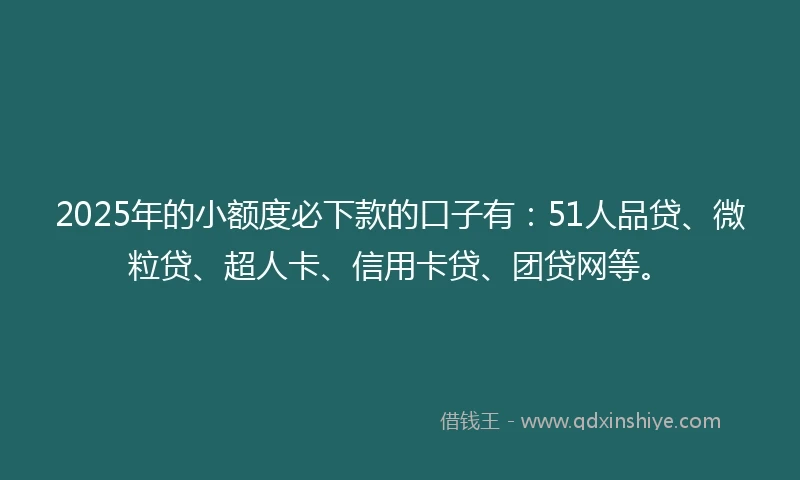 2025年的小额度必下款的口子有：51人品贷、微粒贷、超人卡、信用卡贷、团贷网等。