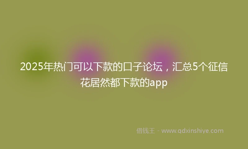 2025年热门可以下款的口子论坛，汇总5个征信花居然都下款的app
