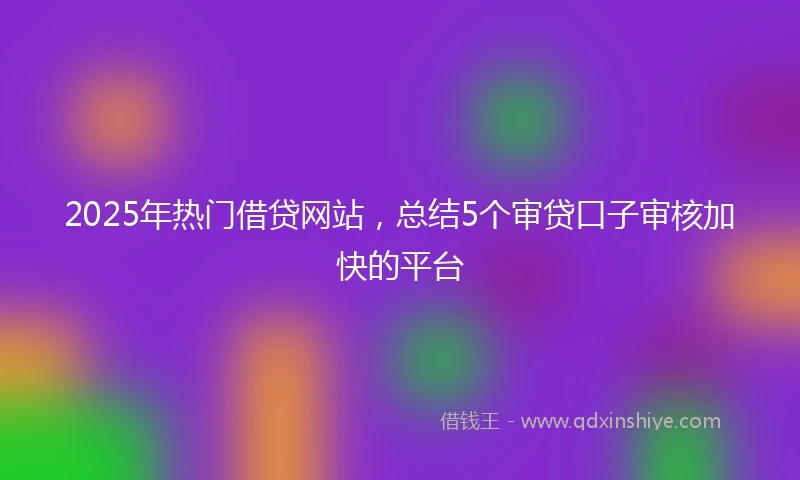 2025年热门借贷网站，总结5个审贷口子审核加快的平台