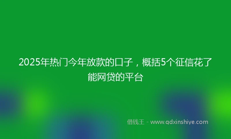 2025年热门今年放款的口子，概括5个征信花了能网贷的平台