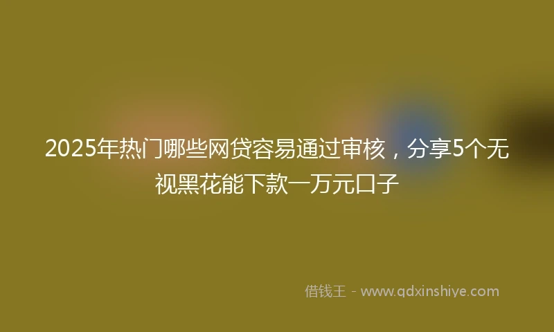 2025年热门哪些网贷容易通过审核，分享5个无视黑花能下款一万元口子