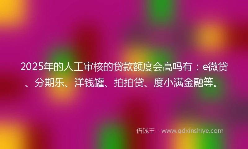 2025年的人工审核的贷款额度会高吗有：e微贷、分期乐、洋钱罐、拍拍贷、度小满金融等。