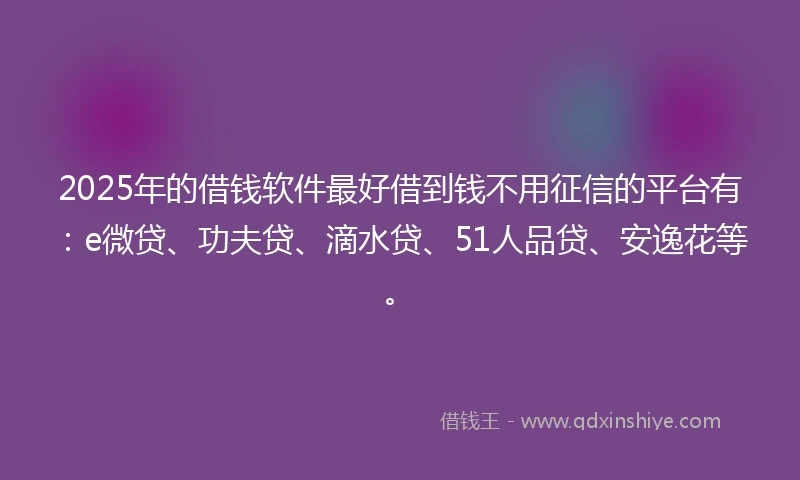 2025年的借钱软件最好借到钱不用征信的平台有：e微贷、功夫贷、滴水贷、51人品贷、安逸花等。